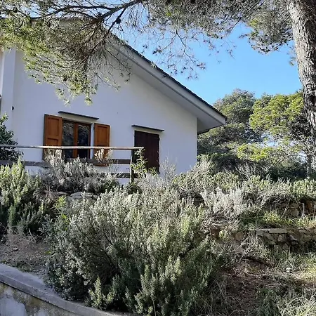 Casa vacanze Hill And Sea Holiday *